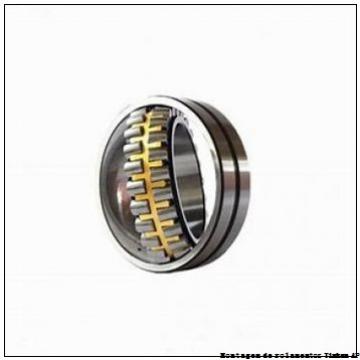 Backing ring K147766-90010        Rolamentos AP para aplicação industrial